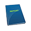 Reports format customization